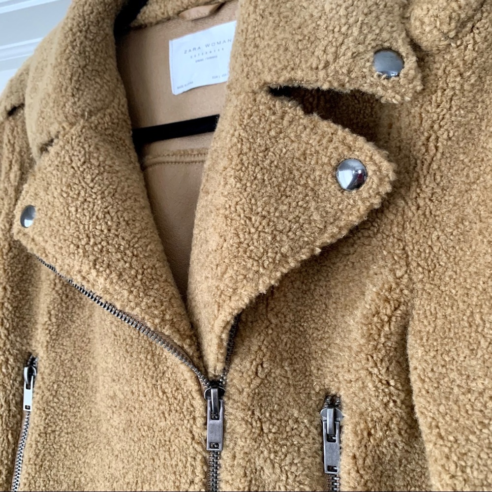 Teddy Moto Jacket - Picture 5 of 9